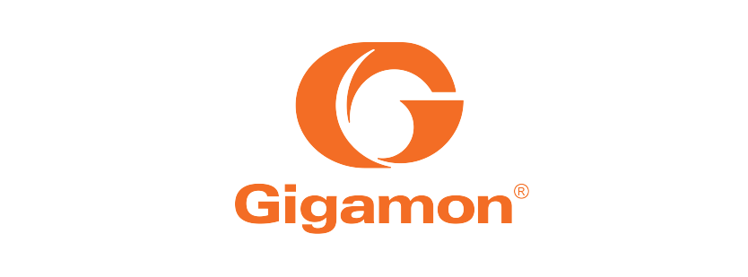 Gigamon