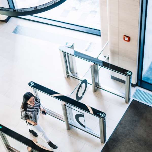 flap barrier turnstile